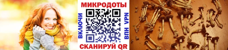 Галлюциногенные грибы прущие грибы  где купить наркоту  Архангельск 