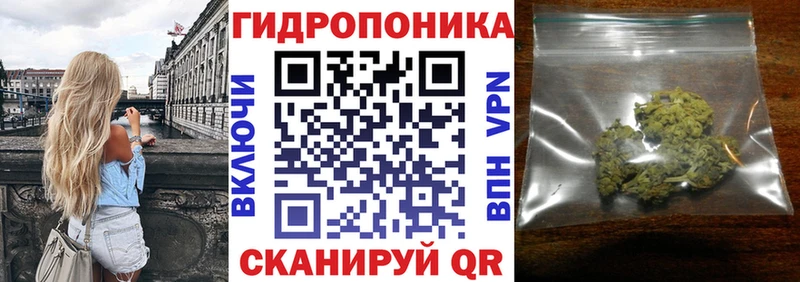 Бошки марихуана VHQ  Архангельск 